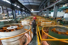 Đồng được sản xuất tại nhà máy ở tỉnh Chiết Giang, Trung Quốc. (Ảnh tư liệu: THX/TTXVN) 