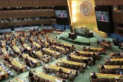 Toàn cảnh phiên họp toàn thể bầu thành viên Hội đồng Nhân quyền Liên hợp quốc nhiệm kỳ 2026-2028. (Ảnh tư liệu: Thanh Tuấn/TTXVN)