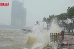 [Video] Đà Nẵng lập 3 sở chỉ huy tiền phương, chủ động ứng phó bão số 12