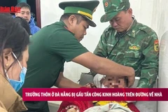 [Video] Đà Nẵng: Trưởng thôn bị gấu hoang tấn công khi đi làm rẫy về