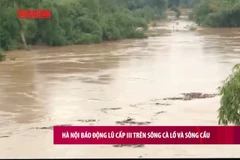 [Video] Hà Nội báo động lũ cấp III trên sông Cà Lồ và sông Cầu