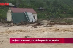 [Video] Thiệt hại do mưa lớn, sạt lở đất tại nhiều địa phương