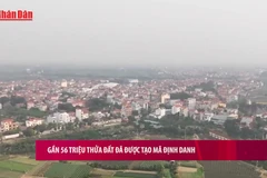 [Video] Gần 56 triệu thửa đất đã được tạo mã định danh