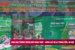 [Video] Khai mạc phòng trưng bày hàng thật – hàng giả tại 62 Tràng Tiền, Hà Nội