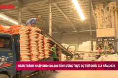 [Video] Hoàn thành nhập kho 500 nghìn tấn lương thực dự trữ quốc gia năm 2025
