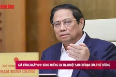 [Video] Giá vàng SJC hạ nhiệt sau chỉ đạo của Thủ tướng 