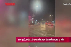 [Video] Phú Quốc ngập sâu sau trận mưa lớn nhất trong 25 năm