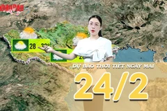 [Video] Dự báo thời tiết đêm nay và ngày mai 24/2/2026: Miền Bắc mưa phùn sương mù, Nam Bộ đón mưa trái mùa