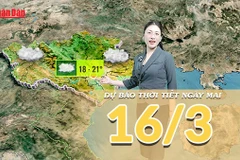 [Video] Dự báo thời tiết đêm nay và ngày mai 16/3/2026: Miền Bắc duy trì nồm ẩm, miền Đông Nam Bộ sắp đón nắng nóng diện rộng