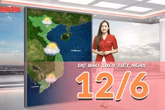 [Video] Dự báo thời tiết ngày 12/6/2026: Bắc Bộ tăng nhiệt trở lại, Nam Bộ mưa dông về chiều tối 