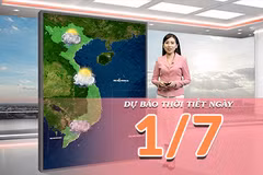 [Video] Dự báo thời tiết ngày 1/7/2026: Mưa lớn bao trùm Bắc Bộ, Trung Bộ chỉ còn nắng nóng cục bộ tại một vài nơi