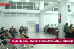 [Video] Đủ điều kiện hưởng lương hưu sẽ không được nhận trợ cấp thất nghiệp