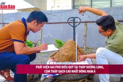 [Video] Phát hiện hai phù điêu quý tại tháp Dương Long, cụm tháp gạch cao nhất Đông Nam Á