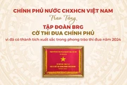 Tập đoàn BRG là tập đoàn kinh tế duy nhất của thành phố Hà Nội được trao tặng Cờ Thi đua Chính phủ năm 2024.