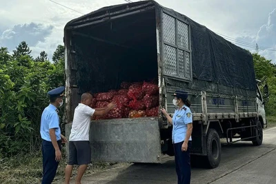 Lực lượng chức năng phát hiện và thu giữ 9.100kg ngao không rõ nguồn gốc, xuất xứ.