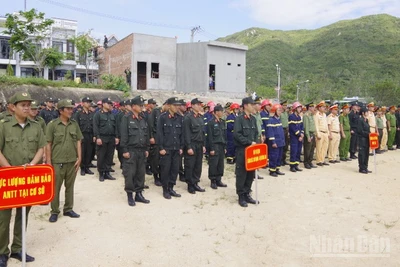 Các lực lượng trực tiếp tham gia chiến dịch.