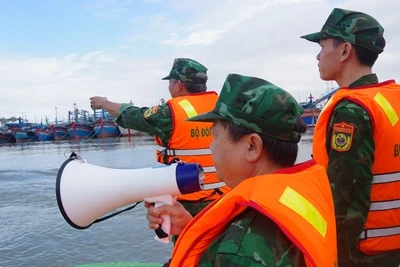 Lực lượng chức năng kêu gọi người dân gia cố tài sản, lên bờ tránh bão.