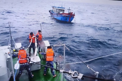 Lực lượng chức năng kêu gọi tàu, thuyền vào nơi tránh bão.