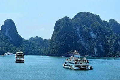 Tàu du lịch đưa khách tham quan Vịnh Hạ Long.