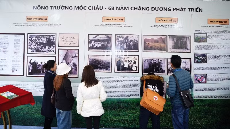 Hành trình gần 7 thập kỷ của những "nghệ nhân sữa" Mộc Châu