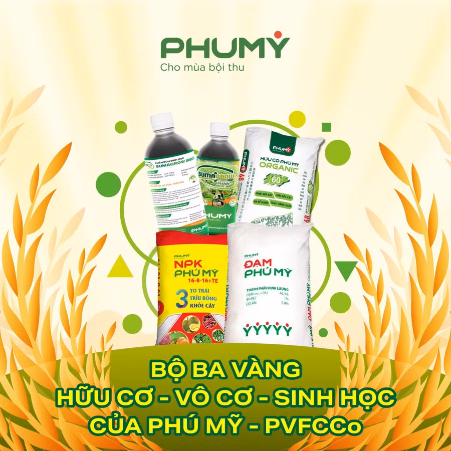Bộ ba vàng hữu cơ-vô cơ-sinh học.