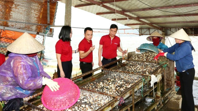 HTX nuôi trồng, thu mua, xuất nhập khẩu thủy hải sản Loan Hoan (Lộc Hà, Hà Tĩnh) nhờ nguồn vốn vay từ Agribank đã có thêm cơ hội mở rộng quy mô sản xuất. a3-8.jpg