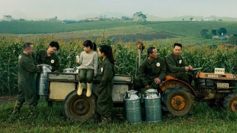 Giữa lớp sương mờ bảng lảng, cao nguyên Mộc Châu hiện lên như bản hòa ca thiên nhiên, nơi con người và đất trời cùng gìn giữ di sản gần 70 năm nghề sữa.