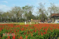 Tết Phú Xuân - Sắc vị Kinh kỳ hút khách từ những ngày mới chuẩn bị.