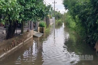 Một số nơi thuộc xã Đan Điền đến sáng nay đã bị ngập nhẹ.