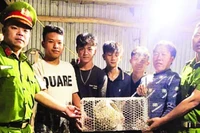 Nhóm thanh niên phường Bắc Gia Nghĩa bàn giao cá thể tê tê cho lực lượng công an phường.