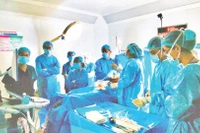 Ê-kíp bác sĩ thực hiện ca can thiệp tim bào thai thứ 12 tại Bệnh viện Từ Dũ.