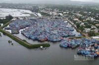 Tàu cá của ngư dân neo trú tại cảng cá Tịnh Hòa (Quảng Ngãi).