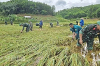 Các lực lượng vũ trang thành phố Huế tiếp tục bám địa bàn, hỗ trợ nhân dân khắc phục hậu quả do bão số 10 gây ra.