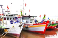 Ninh Bình có 1.360 tàu cá có chiều dài lớn nhất từ 6m trở lên, đăng ký cập nhật thông tin vào cơ sở dữ liệu nghề cá quốc gia.
