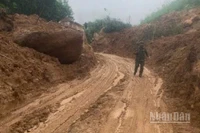 Với tinh thần làm việc xuyên đêm không ngơi nghỉ, đến rạng sáng 31/10, điểm sạt lở nghiêm trọng tại Km15+900 và nhiều điểm sạt lở khác trên tuyến ĐT.623 đã khắc phục xong, bảo đảm giao thông vào đến trung tâm xã Sơn Tây (Quảng Ngãi).