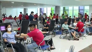 [Video] Tôn vinh 100 người hiến máu tình nguyện tiêu biểu toàn quốc năm 2025