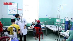 [Video] Nhiều dịch bệnh truyền nhiễm khu vực phía Nam gia tăng