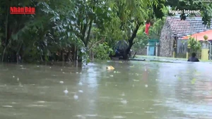 [Video] Tăng cường phòng, chống dịch bệnh trong và sau lụt bão, mưa lũ