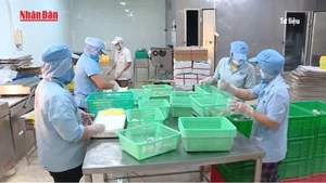 [Video] Năm 2025, xuất khẩu thủy sản của Việt Nam có thể đạt 9,2 tỷ USD