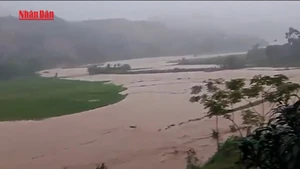 [Video] Biển Đông có thể xuất hiện 1-2 cơn bão, áp thấp nhiệt đới trong tháng 8