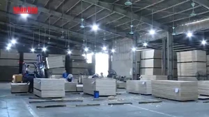 [Video] Năm 2025: Xuất khẩu nông, lâm, thủy sản phấn đấu đạt trên 65 tỷ USD