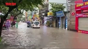 [Video] Nghệ An phân bổ 500 tỷ đồng khắc phục hậu quả thiên tai