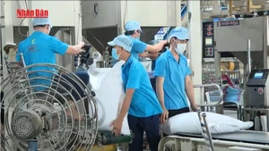 [Video] Giá gạo Việt Nam ở mức cao nhất thế giới so với các sản phẩm cùng chủng loại