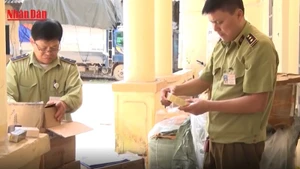 [Video] Hà Nội lập Ban chỉ đạo 389 cấp xã, mạnh tay xử lý buôn lậu và hàng giả
