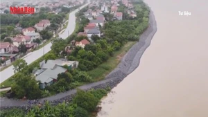 [Video] Phân quyền trong lĩnh vực môi trường cho địa phương 