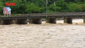 [Video] Các tỉnh, thành phố khu vực Bắc Bộ chủ động ứng phó với mưa lớn
