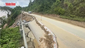 [Video] Khắc phục giao thông sau bão số 3 tại Nghệ An
