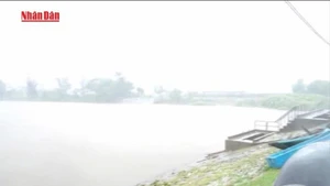 [Video] Chủ động ứng phó gió mạnh, sóng lớn và mưa dông trên biển