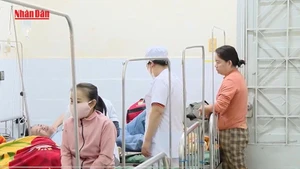 [Video] 5 tháng đầu năm, cả nước đã ghi nhận gần 23.000 ca mắc sốt xuất huyết