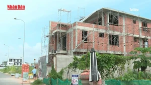 [Video] TP Hồ Chí Minh: Hàng trăm dự án không cần thực hiện thủ tục xin giấy phép xây dựng